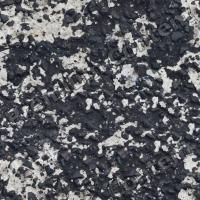 High Resolution Seamless Asphalt Texture 0005